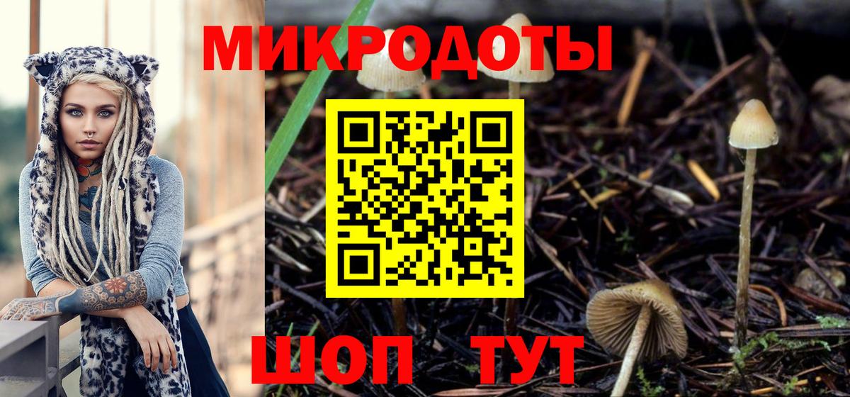 Псилоцибиновые грибы MAGIC MUSHROOMS Сергиев Посад