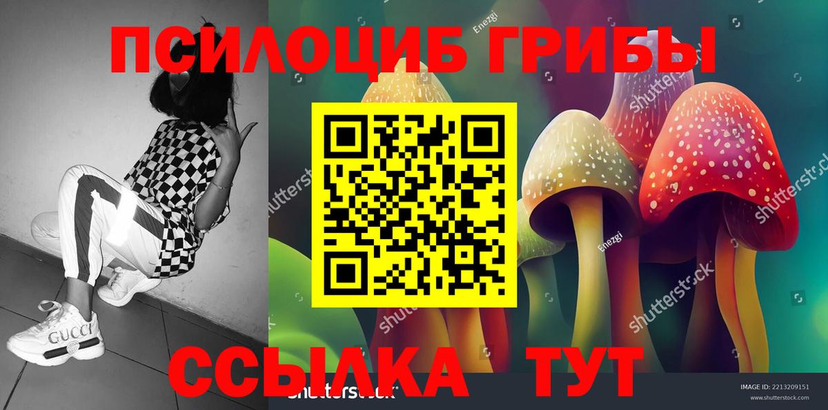 Сергиев Посад  Галлюциногенные грибы прущие грибы  Вход с VPN 
